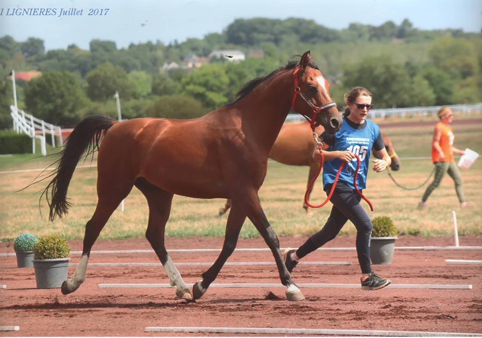 Pascaline Lepoutre